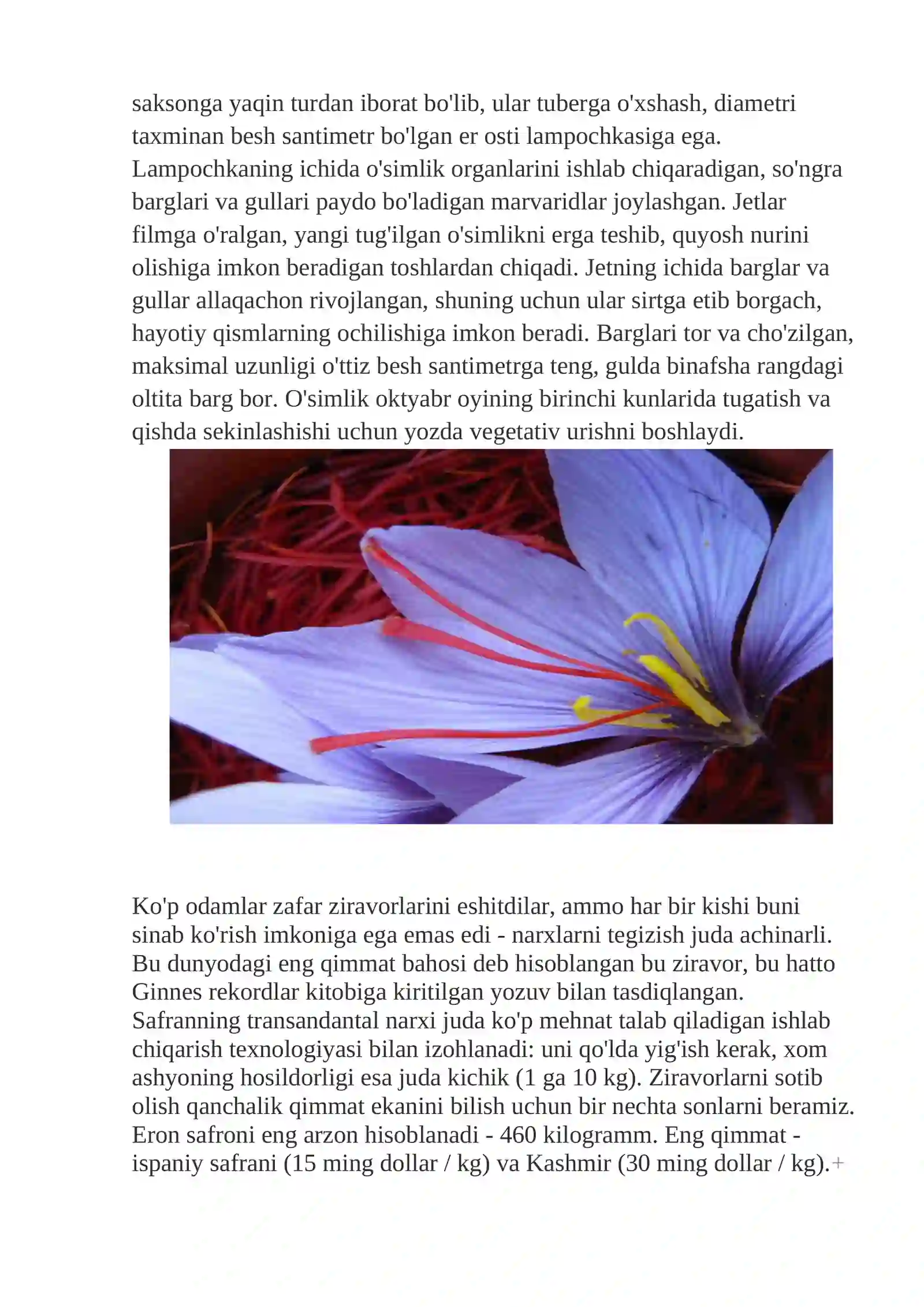 Savsardoshlar (Iridaceae) oilasidagi turlar biologiyasi, ekologiyasi, areali va xalq xo`jaligidagi ahamiyati 4