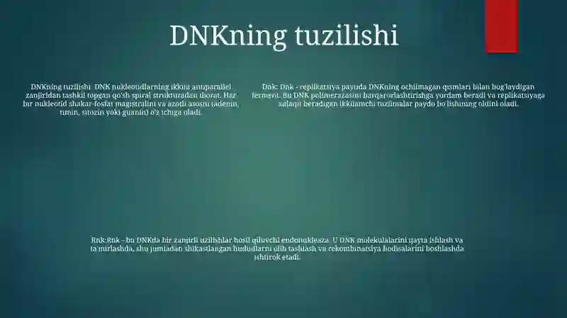 DNK va RNK 4