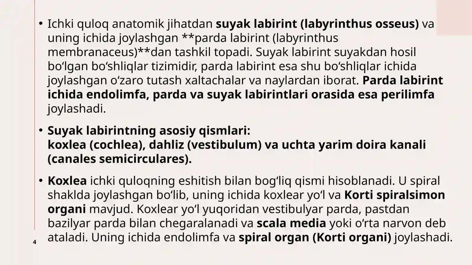 Ichki quloq anatomiyasi 4