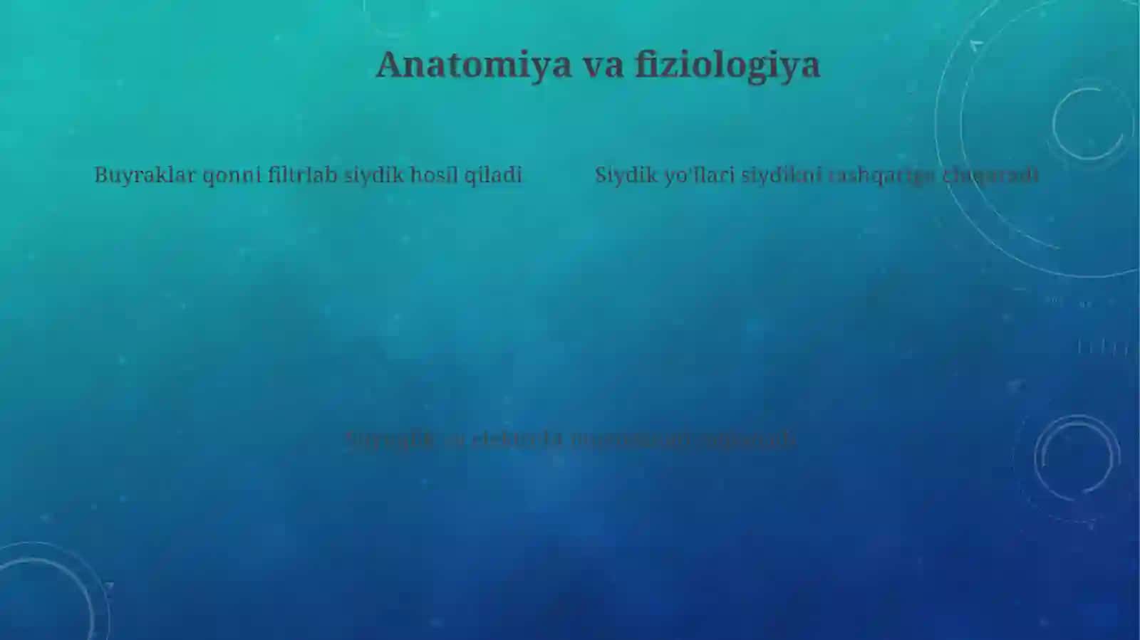 Buyrak va peshob ajratish tizimi bilan kasallangan bemorlarni tekshirish 4