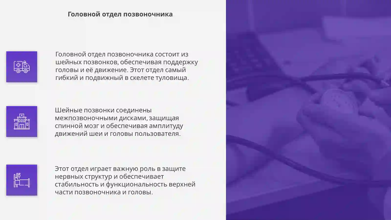 Скелет туловища 4