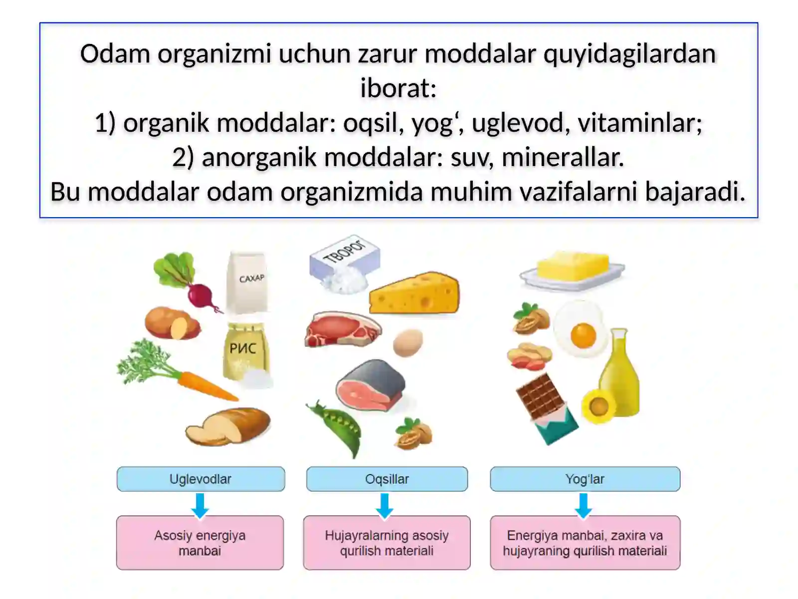 ODAMNING OVQAT HAZM QILISH SISTEMASI 4