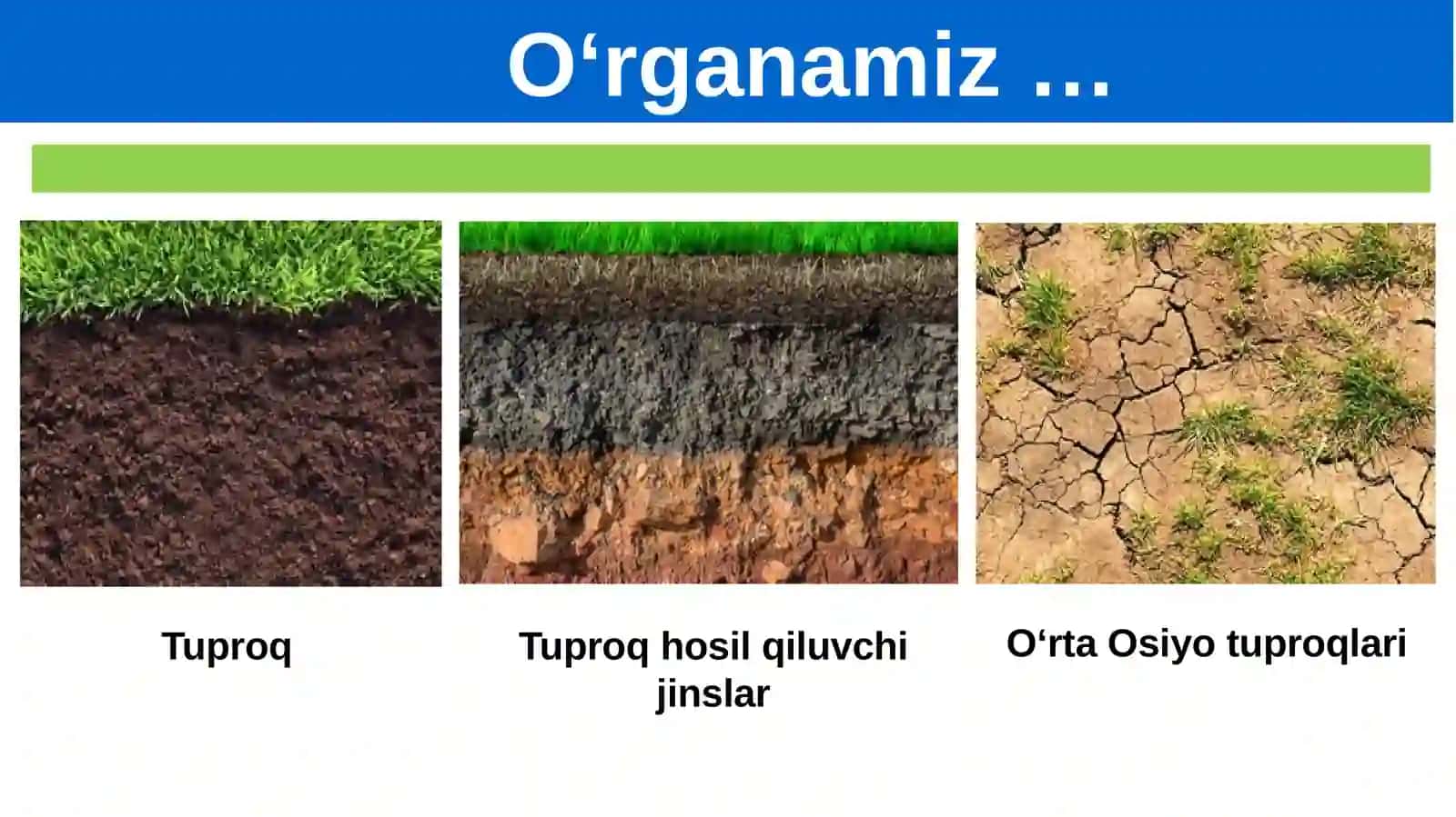Xorazm tuproq shorlanishi 4