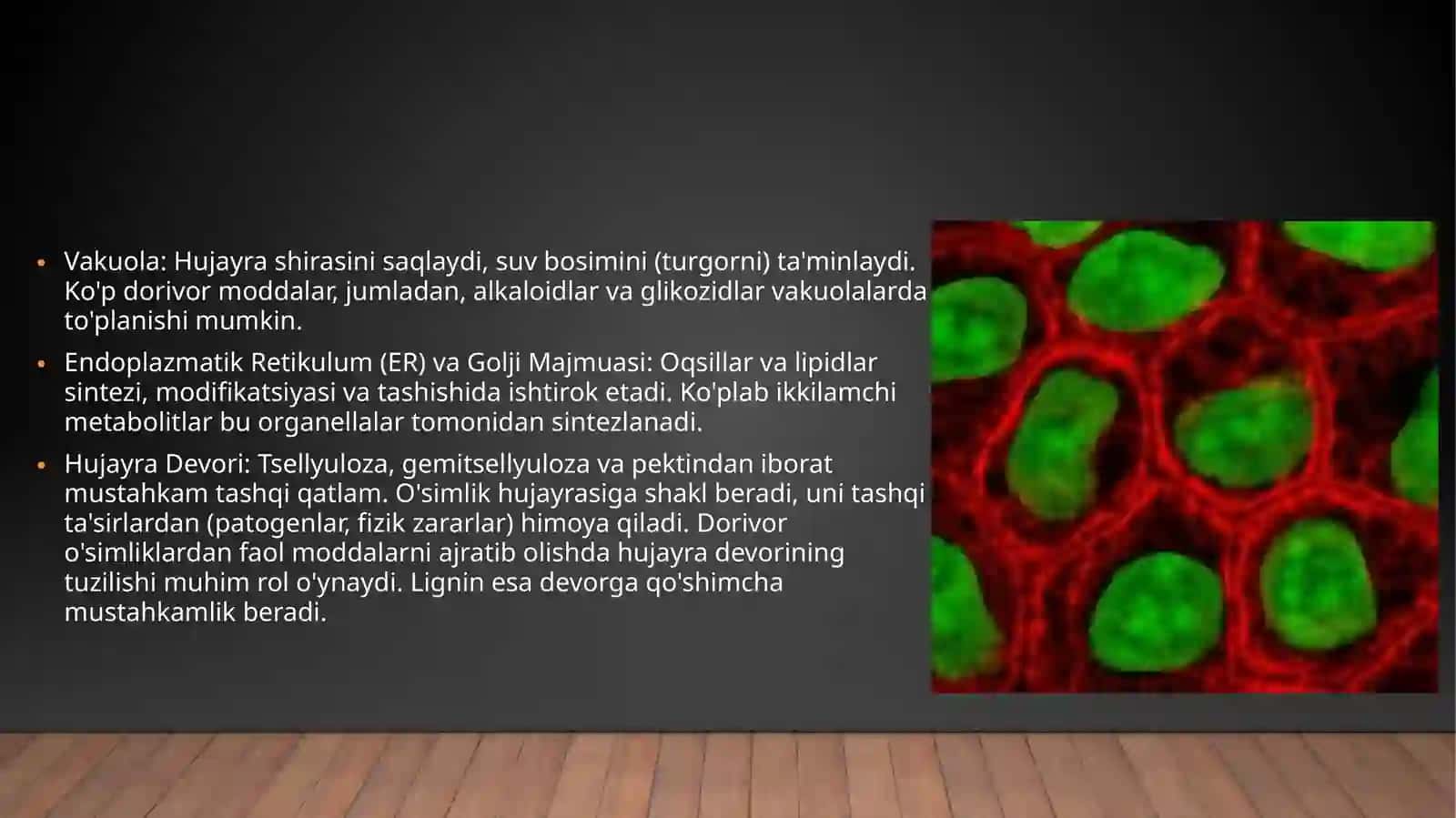 O'simliklar anatomiyasi va fiziologiyasi 4