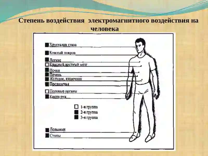 Влияние на организм человека электромагнитных полей 4