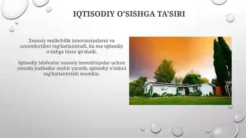 Xususiy Mulkchilikning Iqtisodiy Rivojlanishi 4