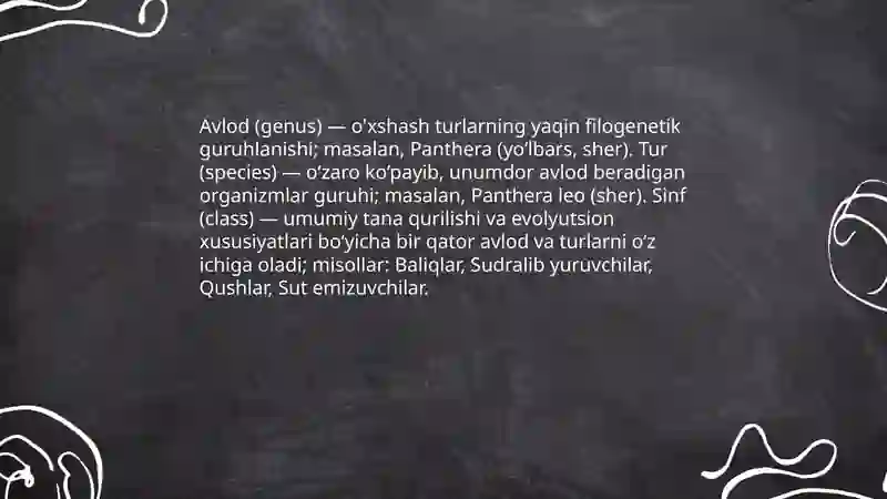 Hayvonot olamining xilma-xilligi 4