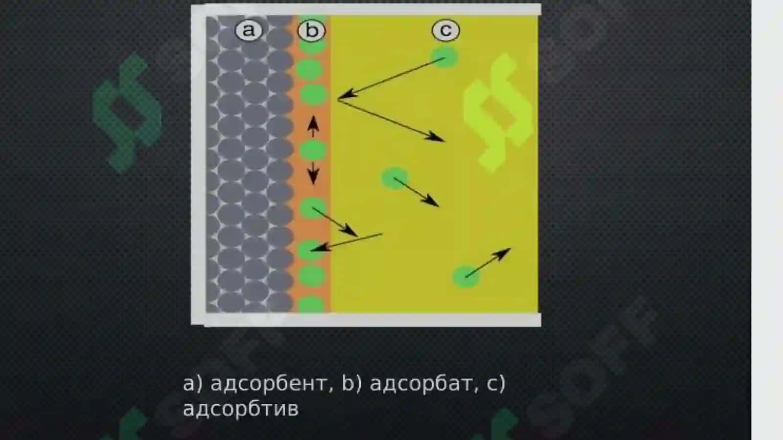 Sirt hodisalari.Adsorbsiya.Xromatografiya 4