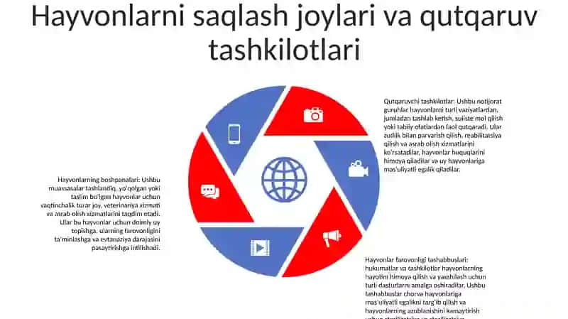 Hayvonot Dunyosini Muxofaza Qilish Chora Tadbirlari 4