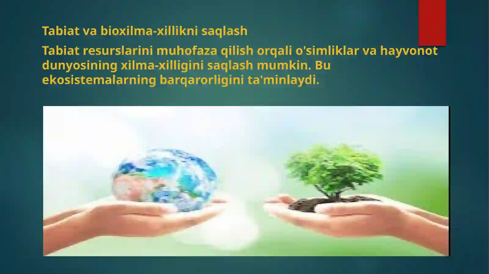 Atrof muhitni muhofaza qilish 4