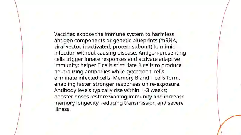 Vaccination Importance Presentation 4