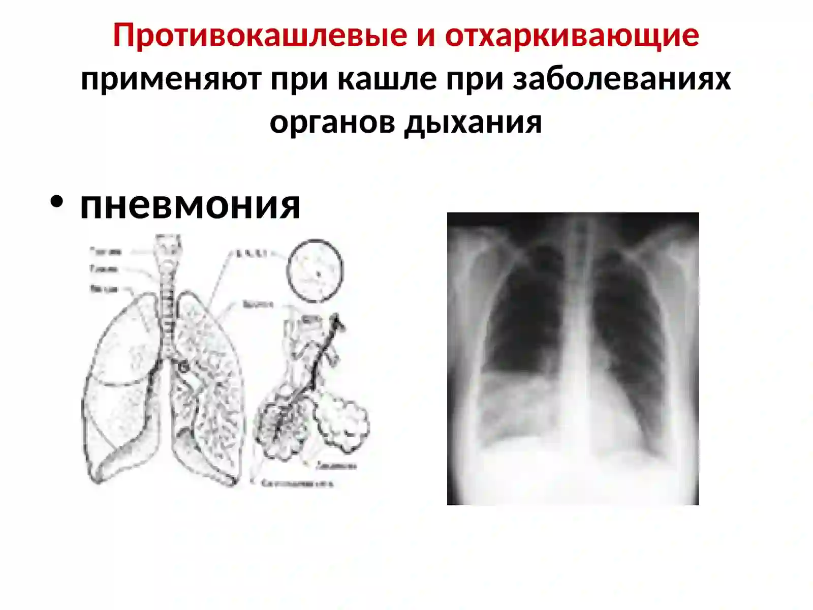 Противокашлевые и отхаркивающие 4