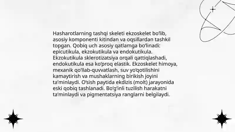 Hasharotlarning ichki va tashqi tuzilishi 4