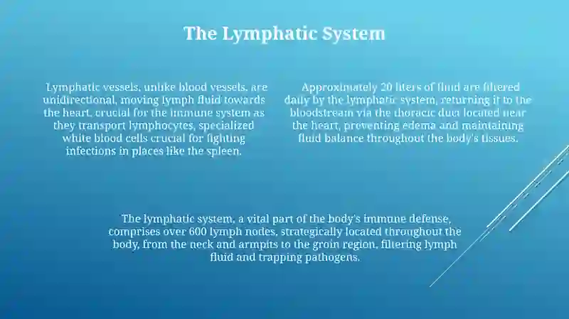 Circulatory system 4