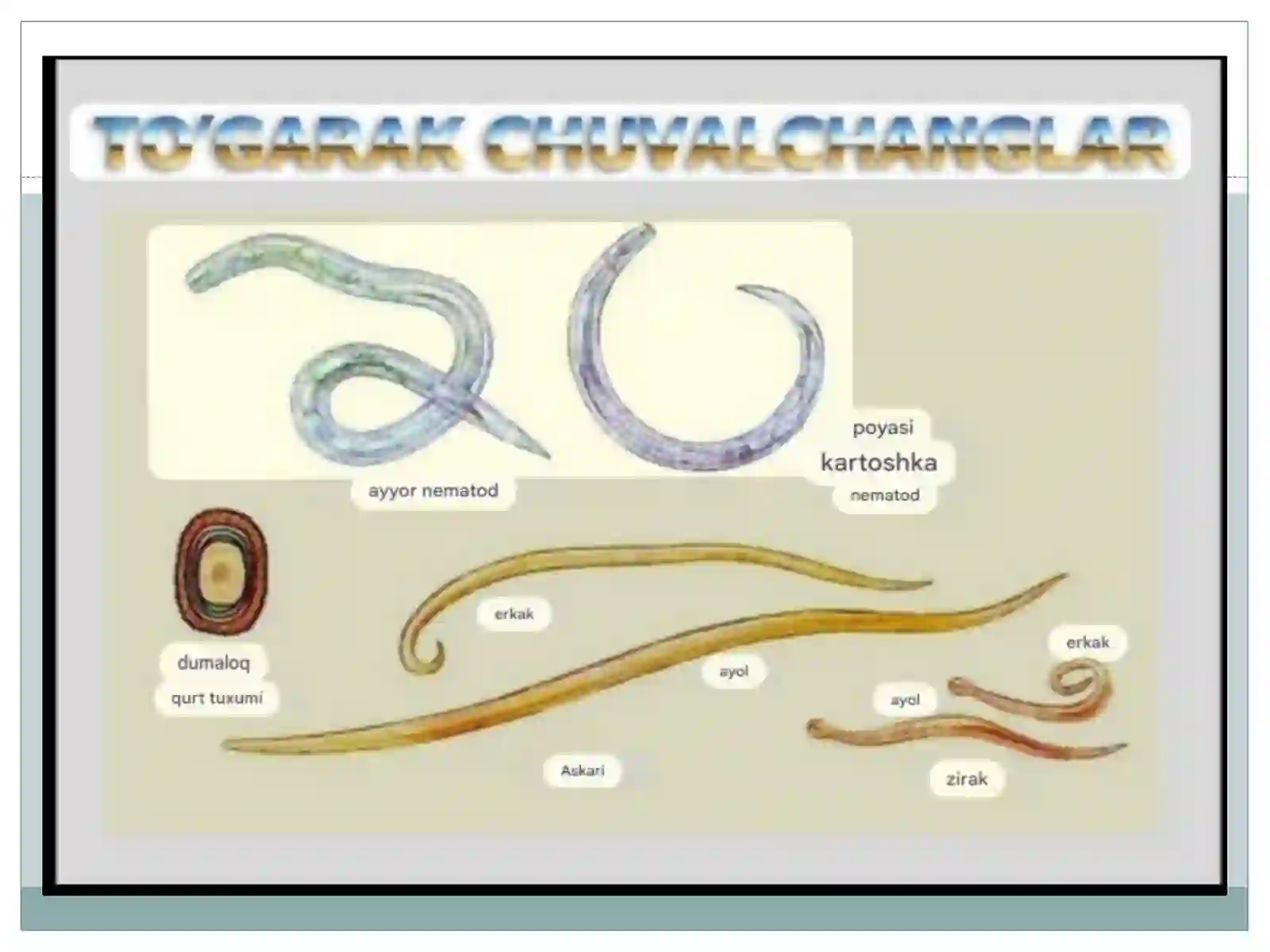 Toʻgarakchuvalchanglartipi 4