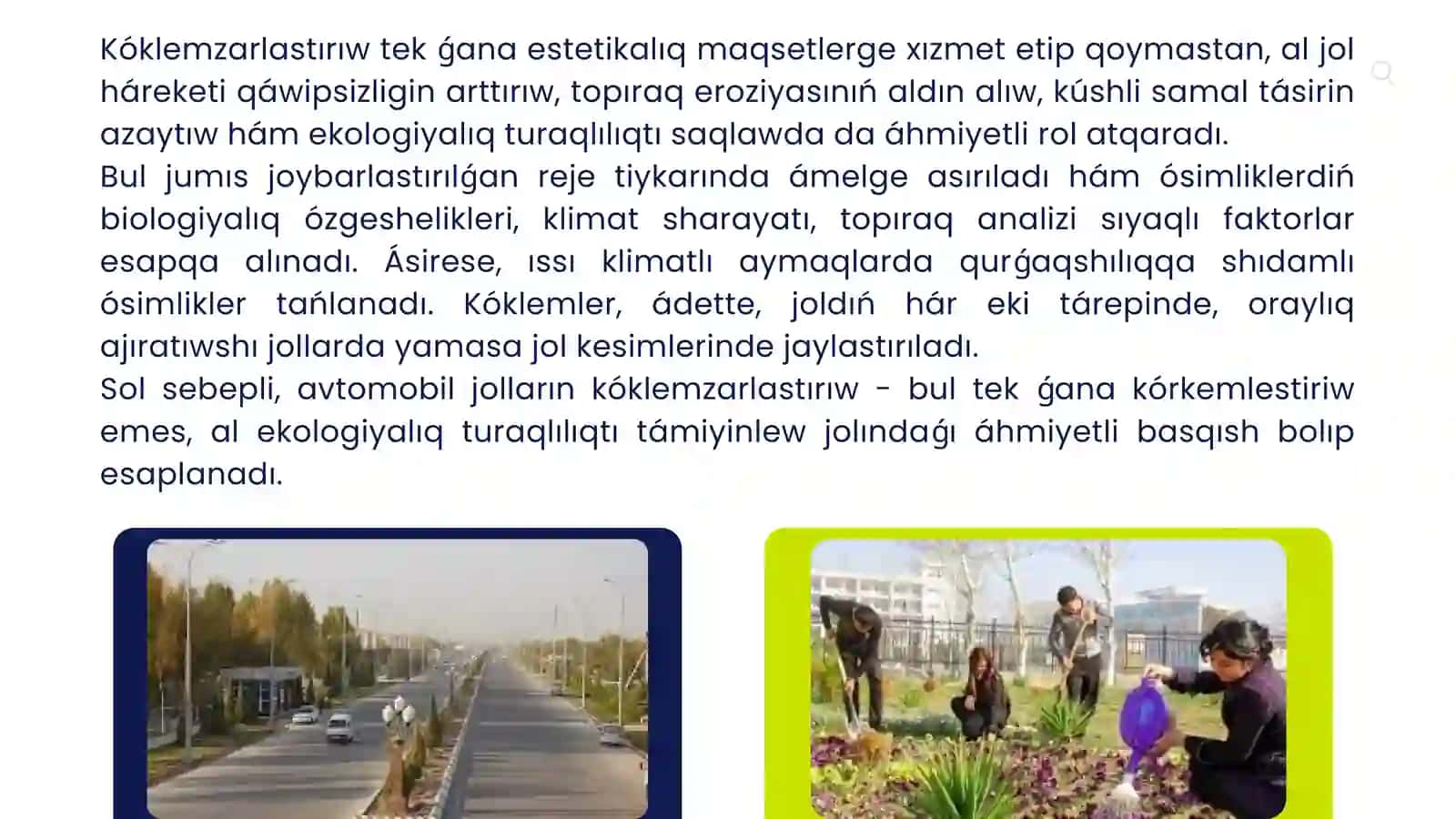Avtomobil jolların kóklemzarlastırıwdiŃ túrleri 4