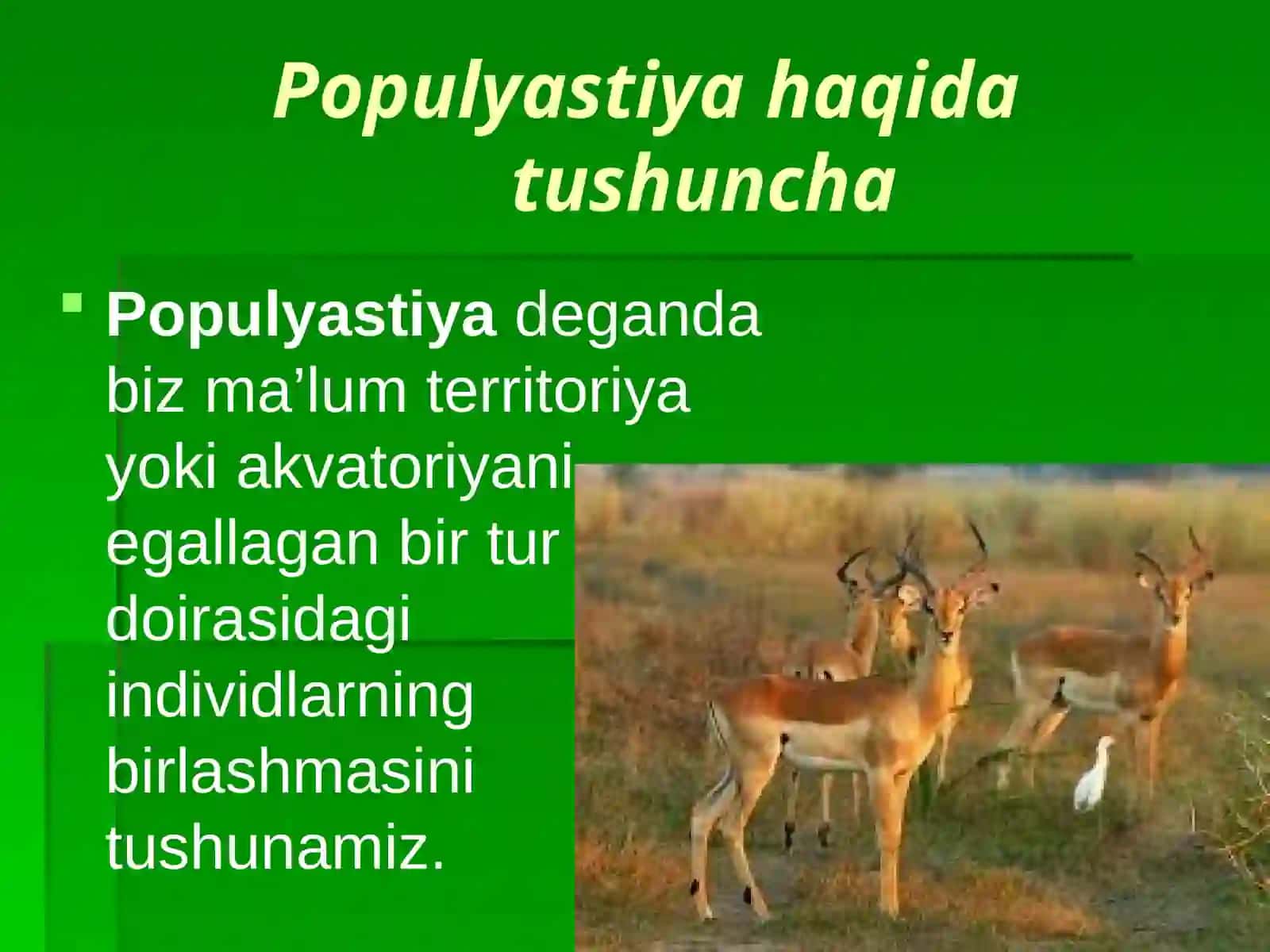 Hayvonlar Populyatsiyasi 4