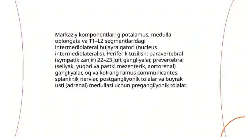 Vegetativ nerv sistemasining simpatik va parasimpatik qismi 4