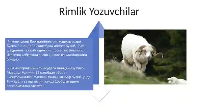 Qadimgi Rim faylasufilari, yozuvchilari va shifokorlari 4