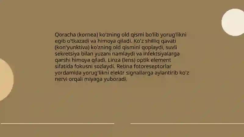 Sezgi a'zolari 4