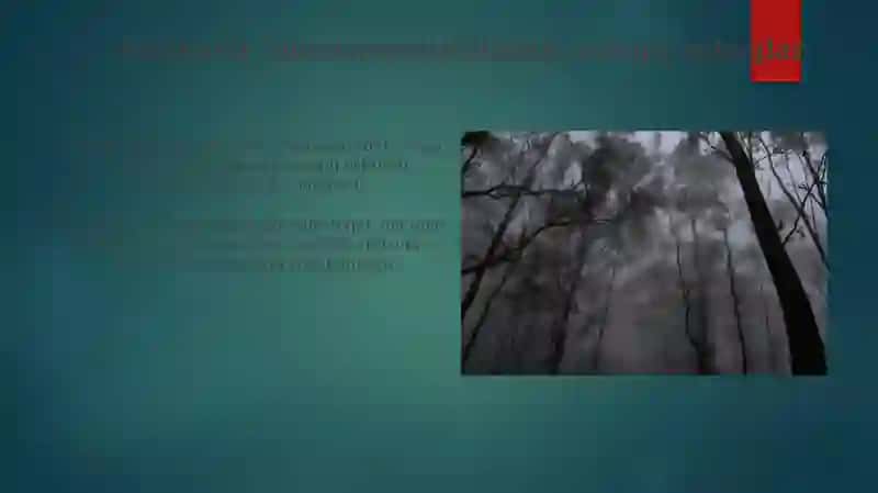 Material Tanlashda Ekologik Axloq 4