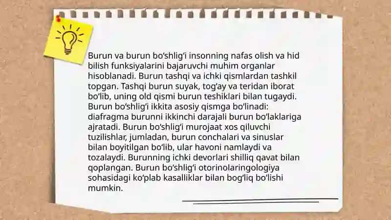 Nafas olish tizimining tuzilishi, yosh xususiyatlari va gigiyenasi 4