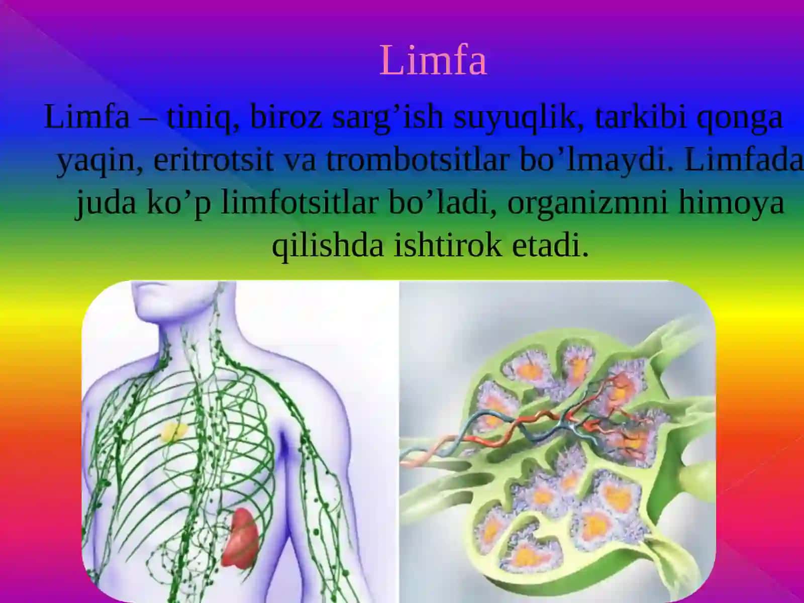 QON VA UNING VAZIFALARI 8-sinf biologiya 4