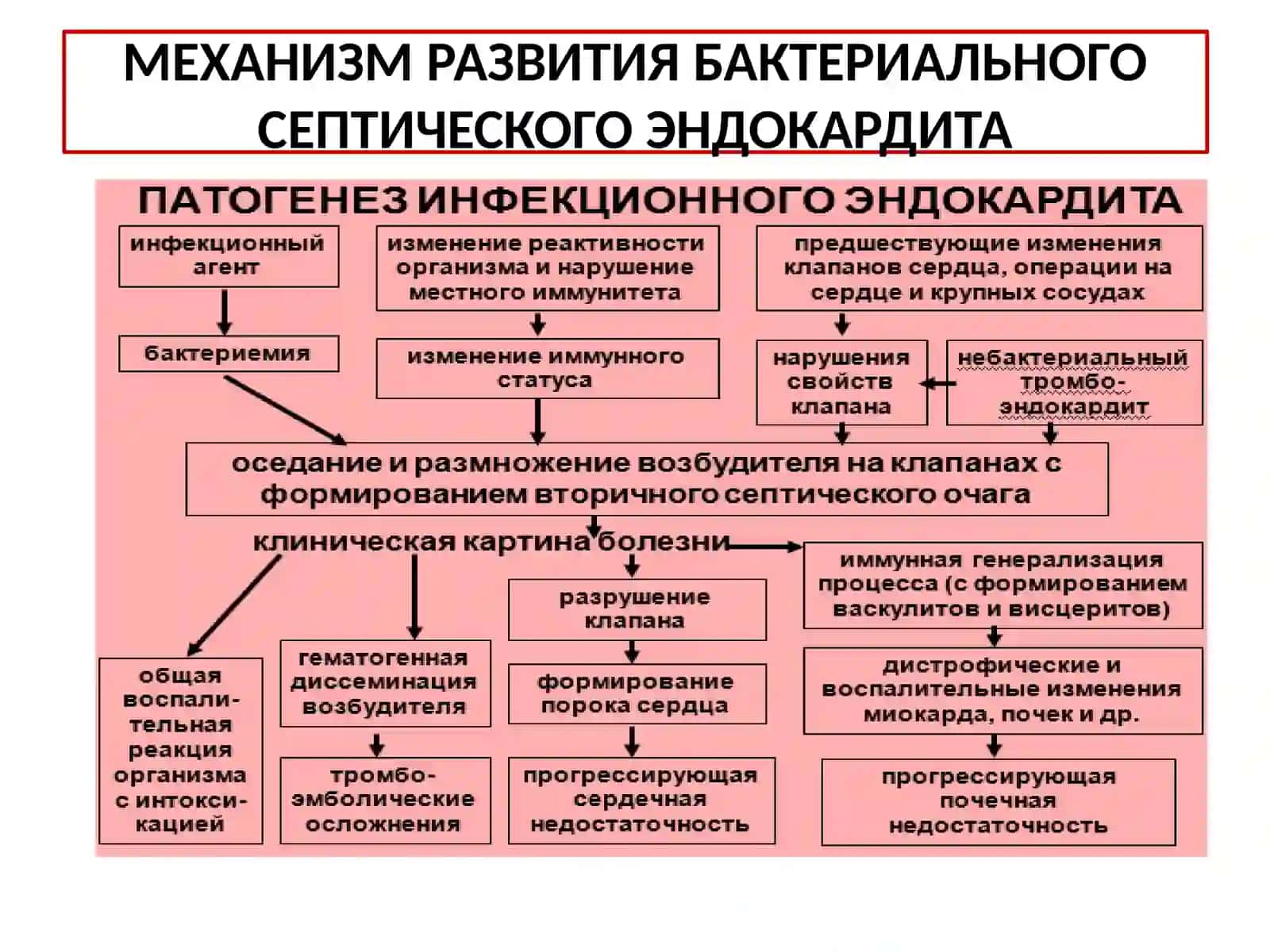 Бактериальный Септический Эндокардит, Определение 4