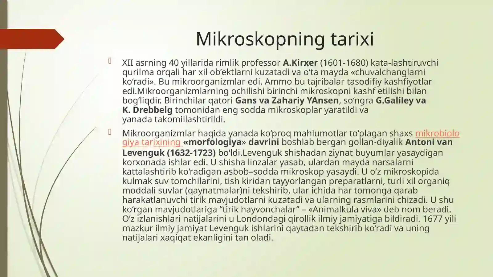 Mikroskop 4