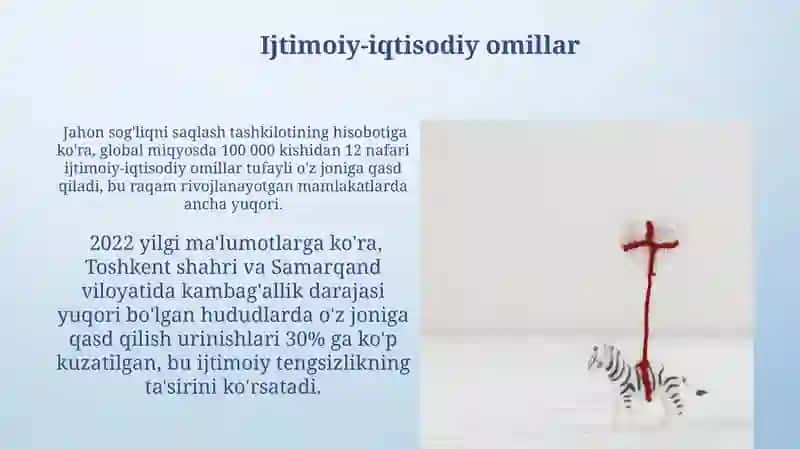 Suitsid tushunchasi, turlari, xavf omillari, profilaktika choralari 4