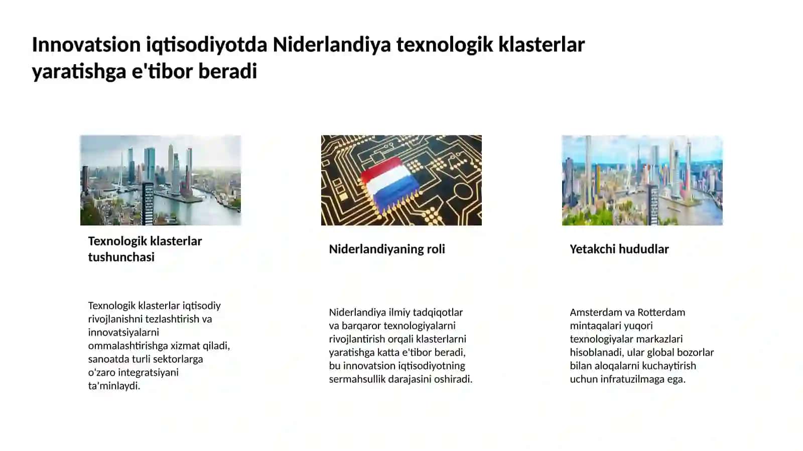 Innovatsion iqtisodiyot bõyicha Niderlandiya haqida 4