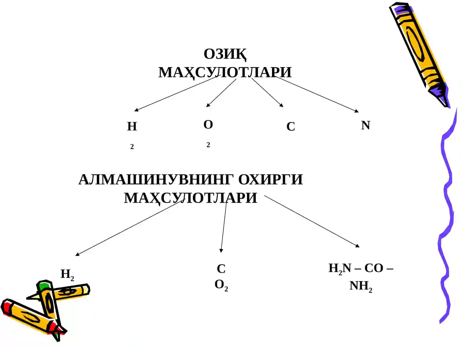 МОДДАЛАРАЛМАШИНУВИГАКИРИШБИОЛОГИК МЕМБРАНАЛАР 4
