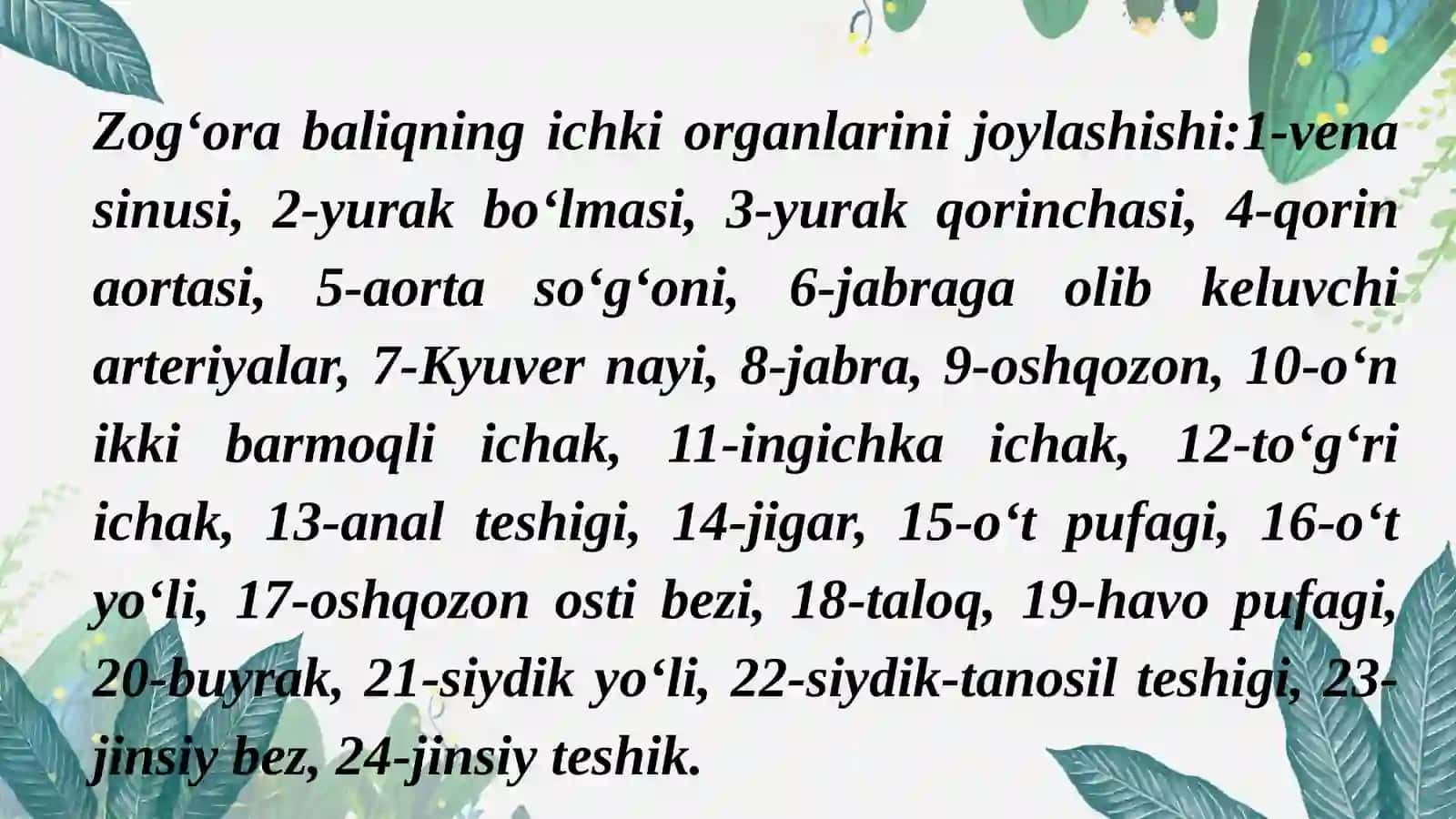 Suyaklibaliqlarning umumiy xususiyatlari 4