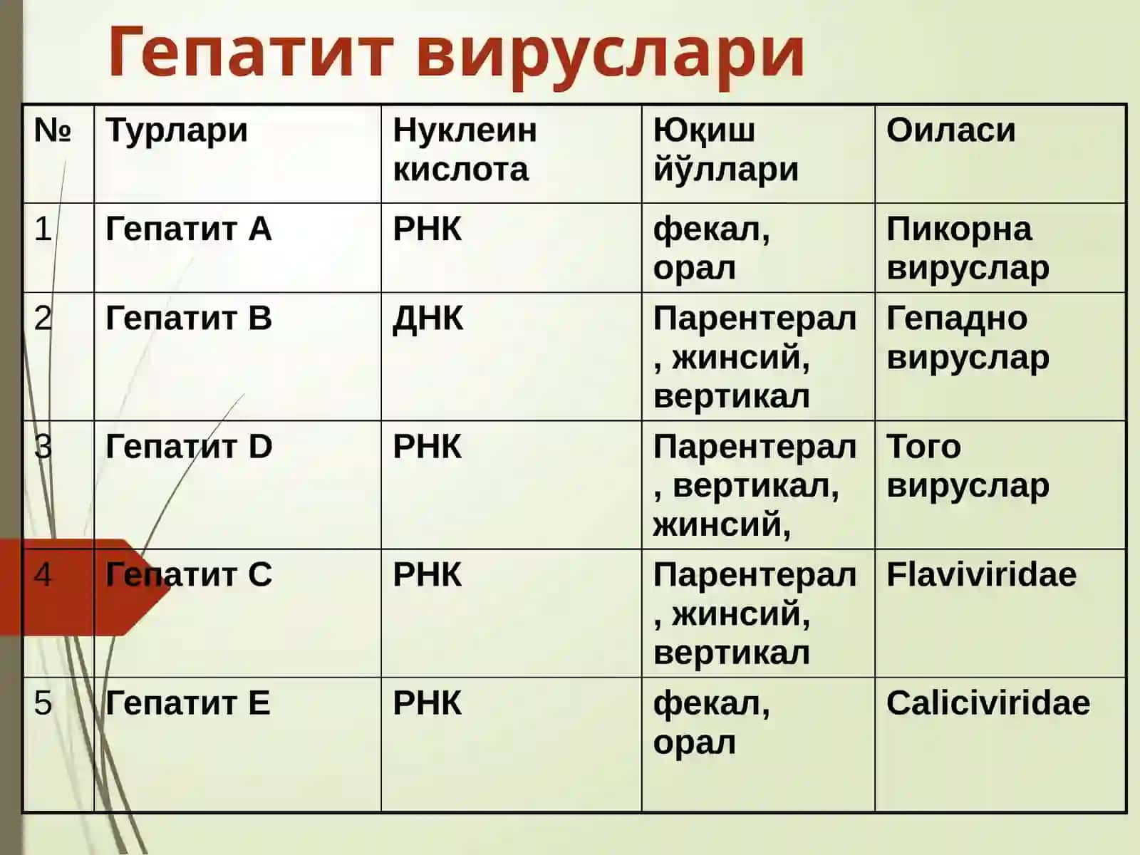 Вирусли гепатитлар, сурункали гепатитлар, этиология, патогенез, клиникаси, даволаш усуллари 4