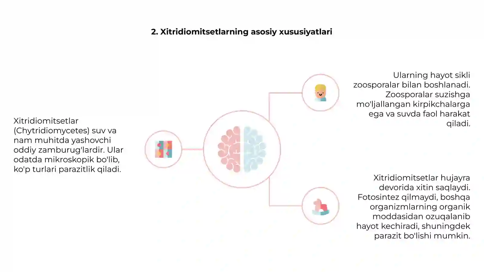 Xitridiomitsetlar- (Chytridiemycetes) sinfining umumiy tasnifi 4