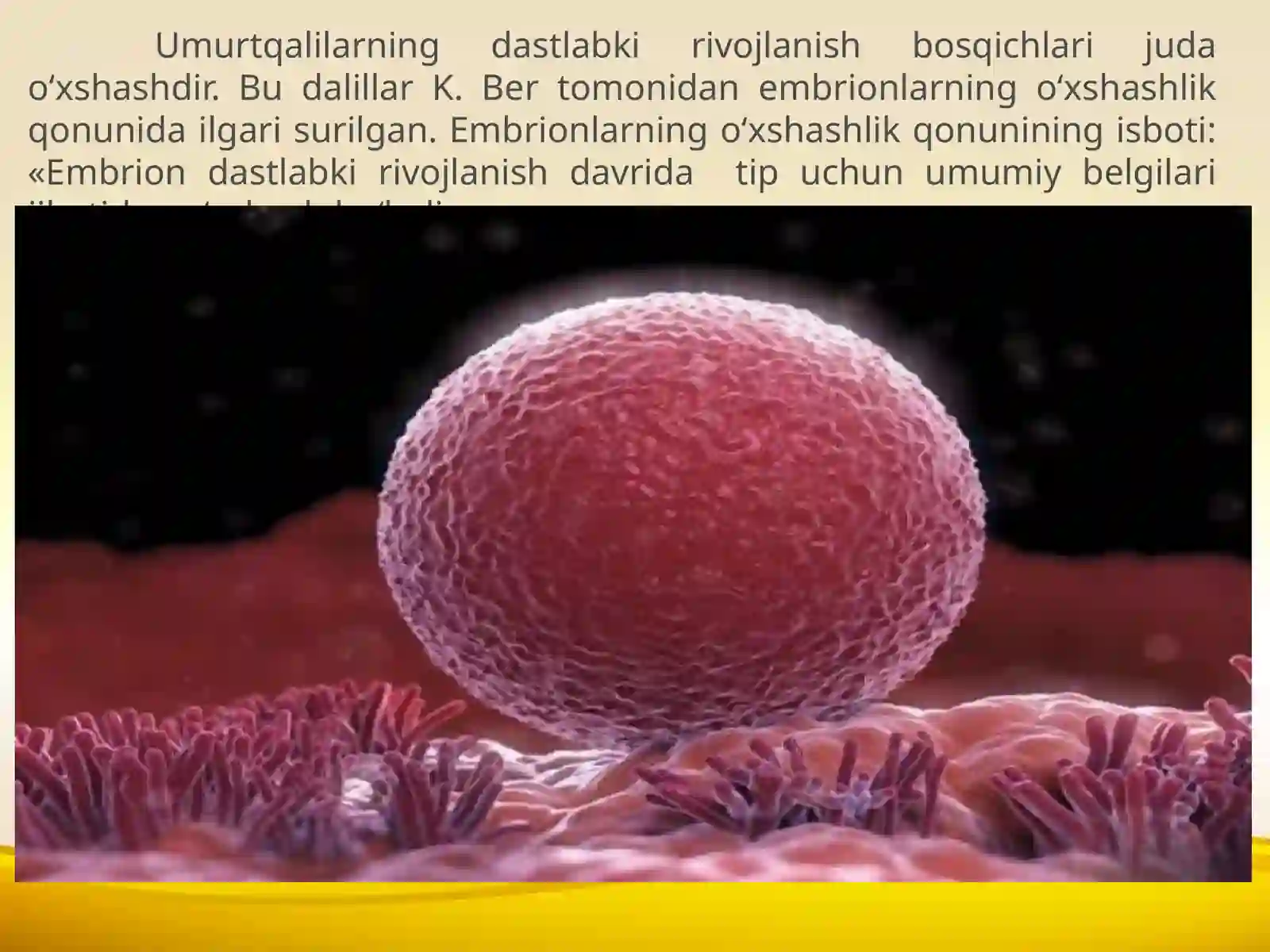 Biogenetik qonun 4