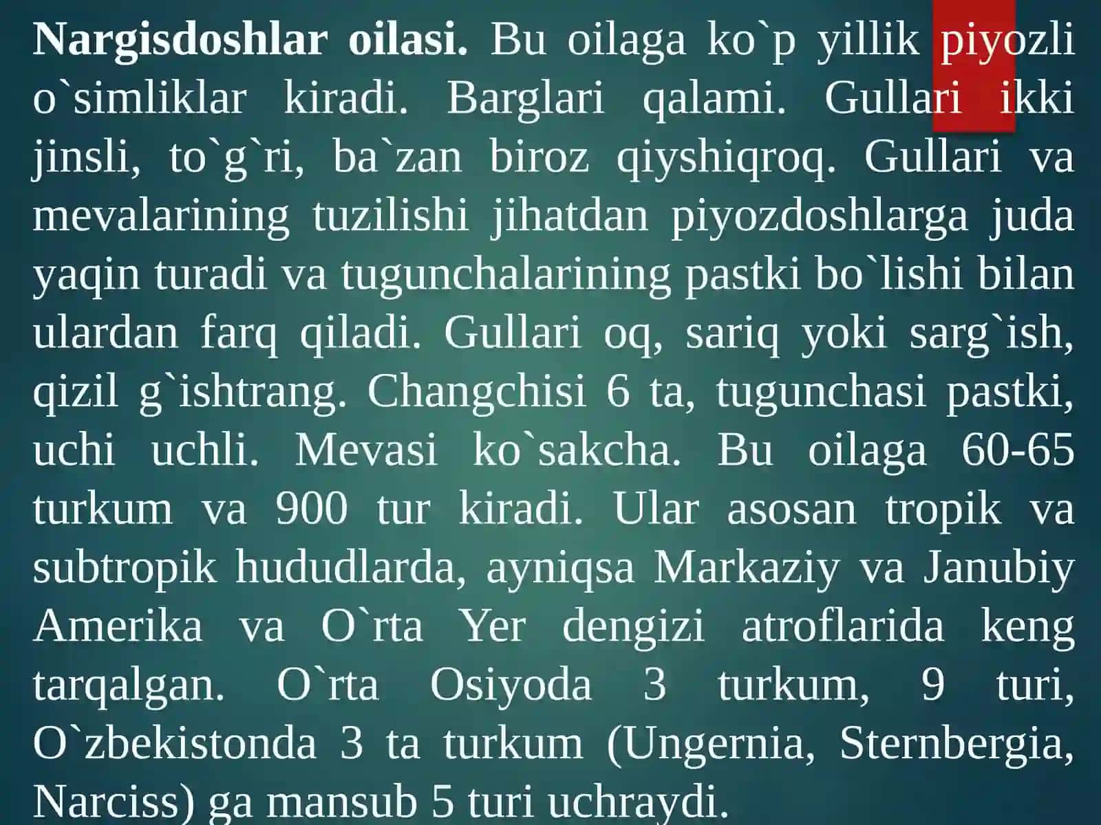 Nargisdoshlar, bug‘doydoshlar oilalari turkum va turlari tahlili 4