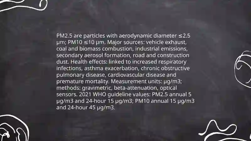Air pollution 4