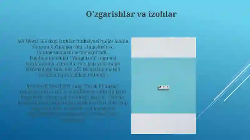 Microsoft Word 365 4