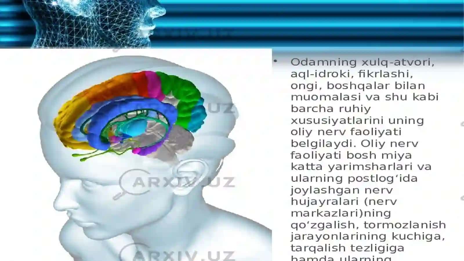 Odamgenetikasini o'rganish usullari: dermatotoglifka, biokimoviy 4
