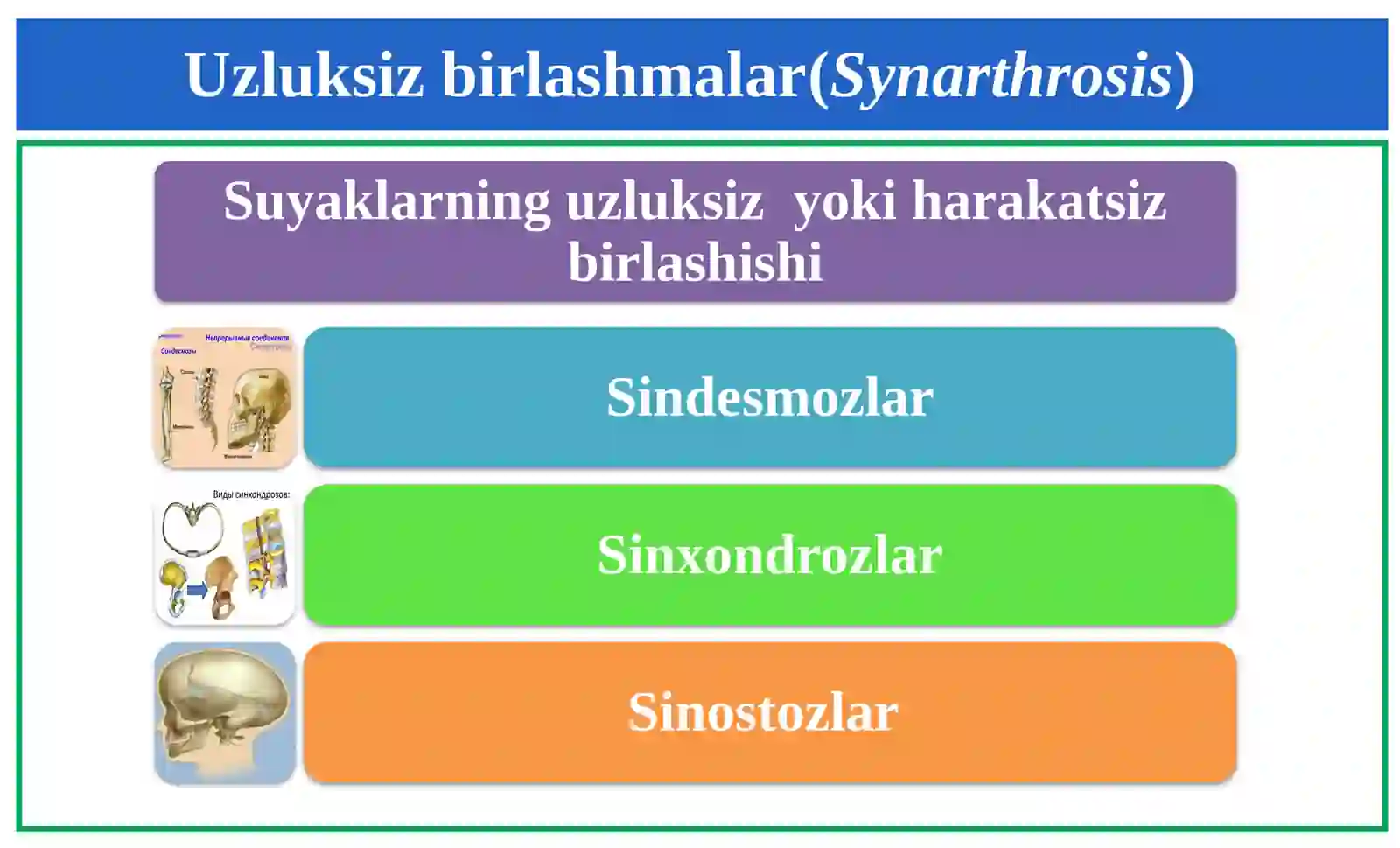 Sindesmologiya ODAM ANATOMIYASI 4