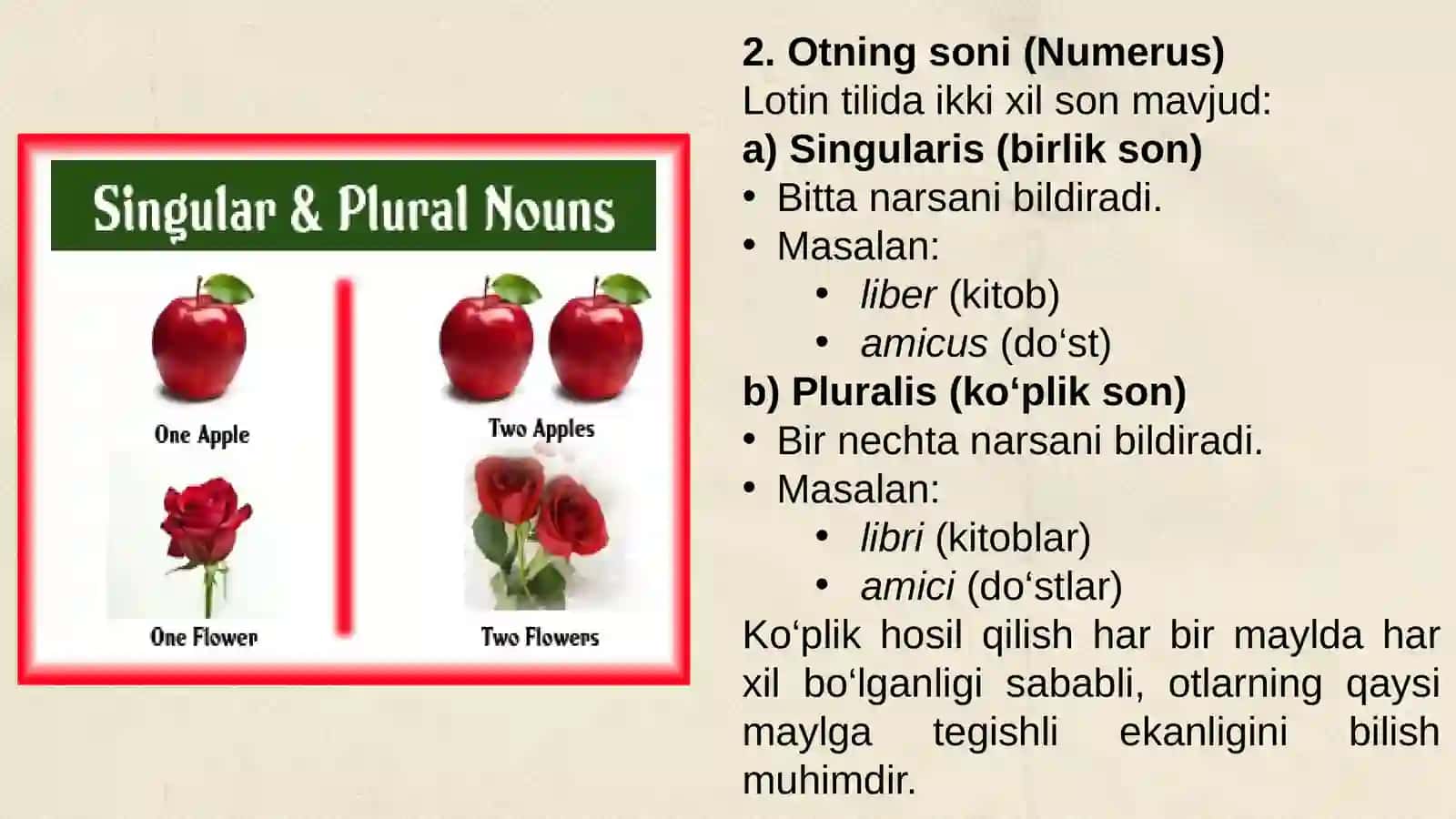 otning grammatik kategoriyalari 4
