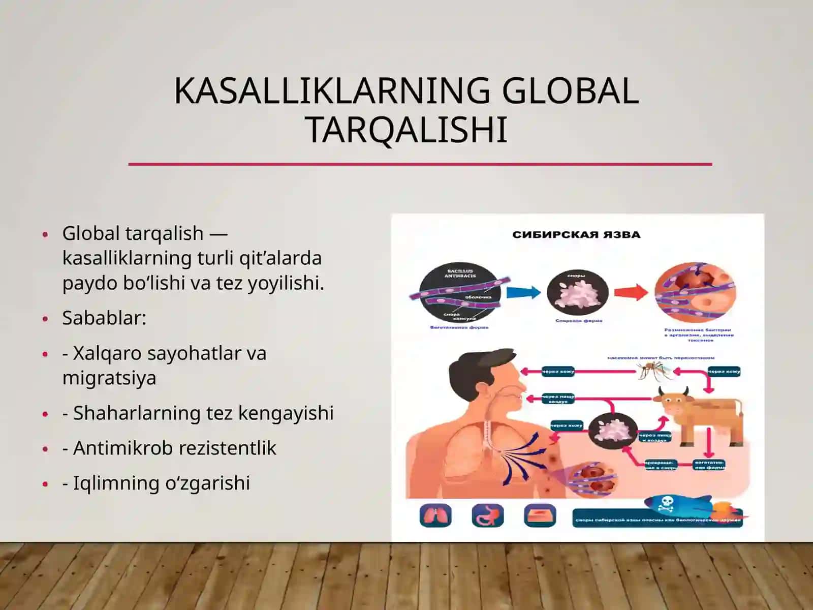 2-sonliDavolashfakulteti310-aguruhtalabasiusmonovamarjonaxonningPatalogikanatomiyafanidantayyorlagan 4