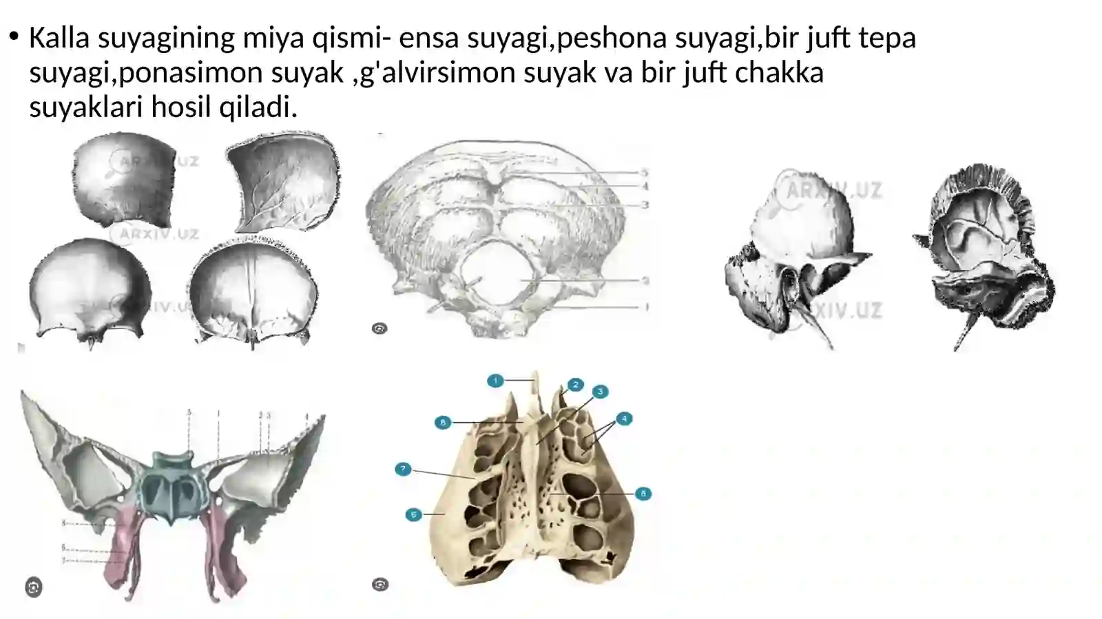 Kalla suyagi 4