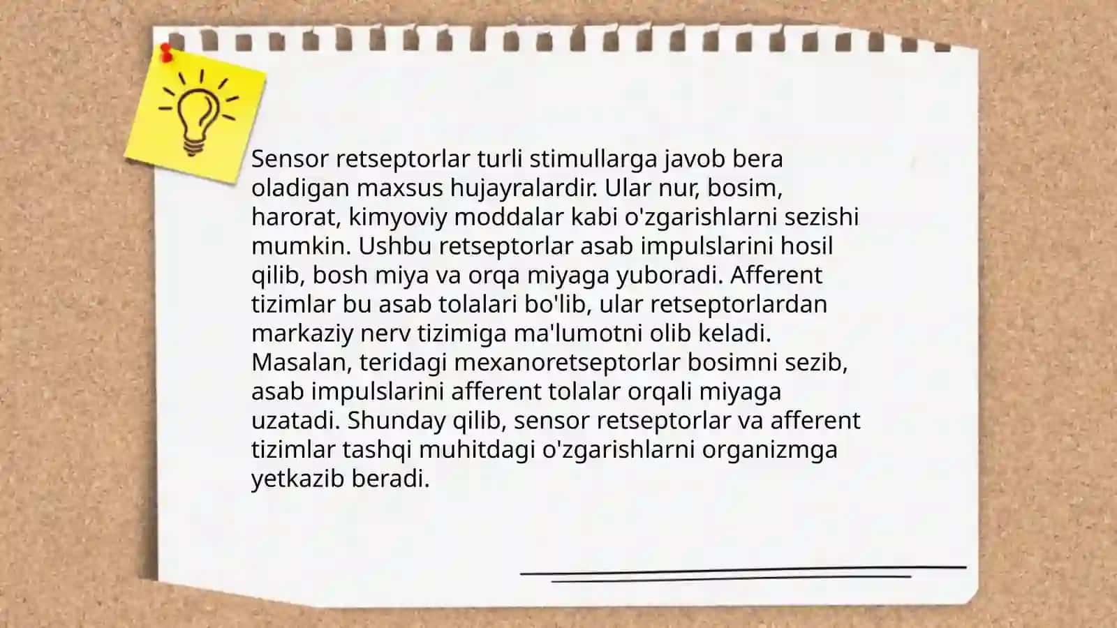 Afferent tizimlar roli 4