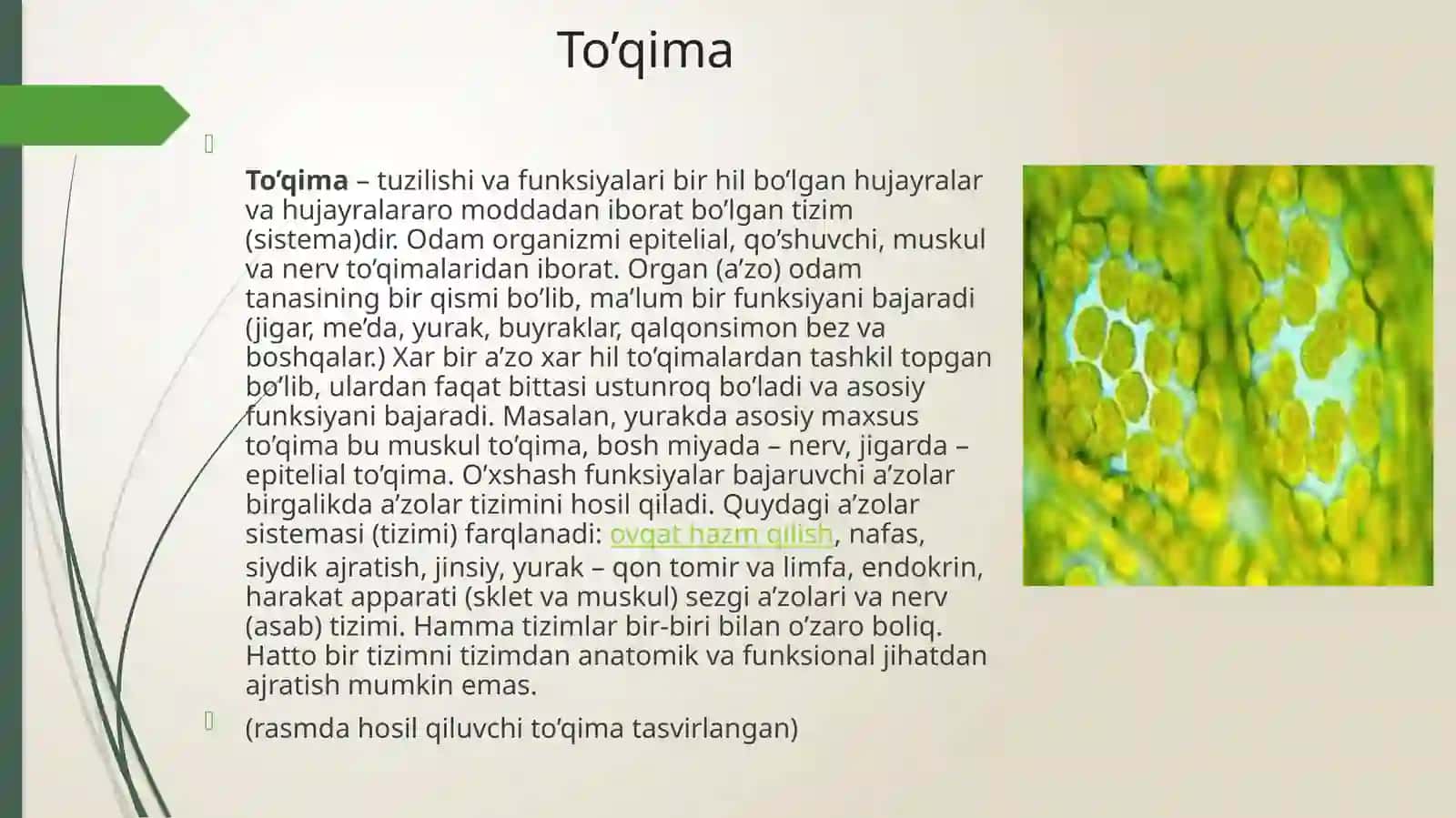 Hujayravato’qimafizologiyasi 4