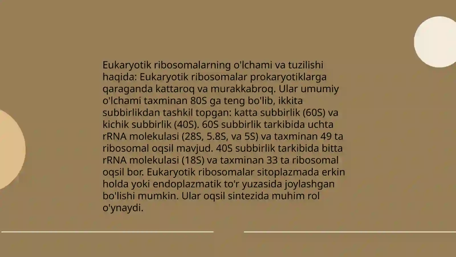 Ribosomalar ularning tuzilishi va funksional ahamiyati 4