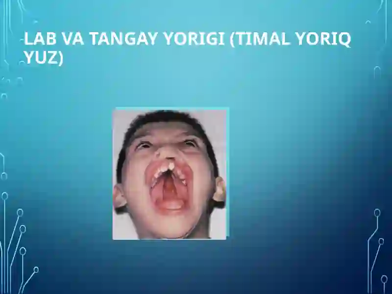 Preview 4