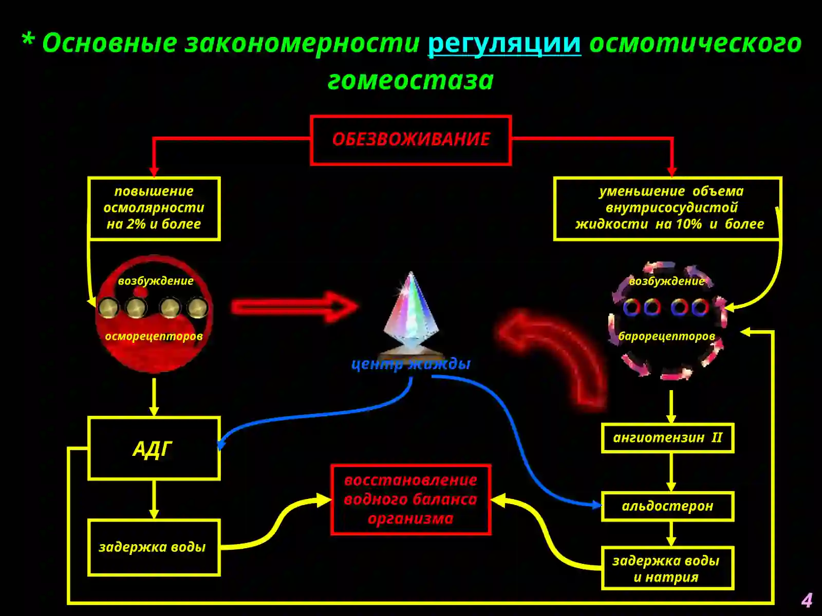 Нарушения обмена воды 4