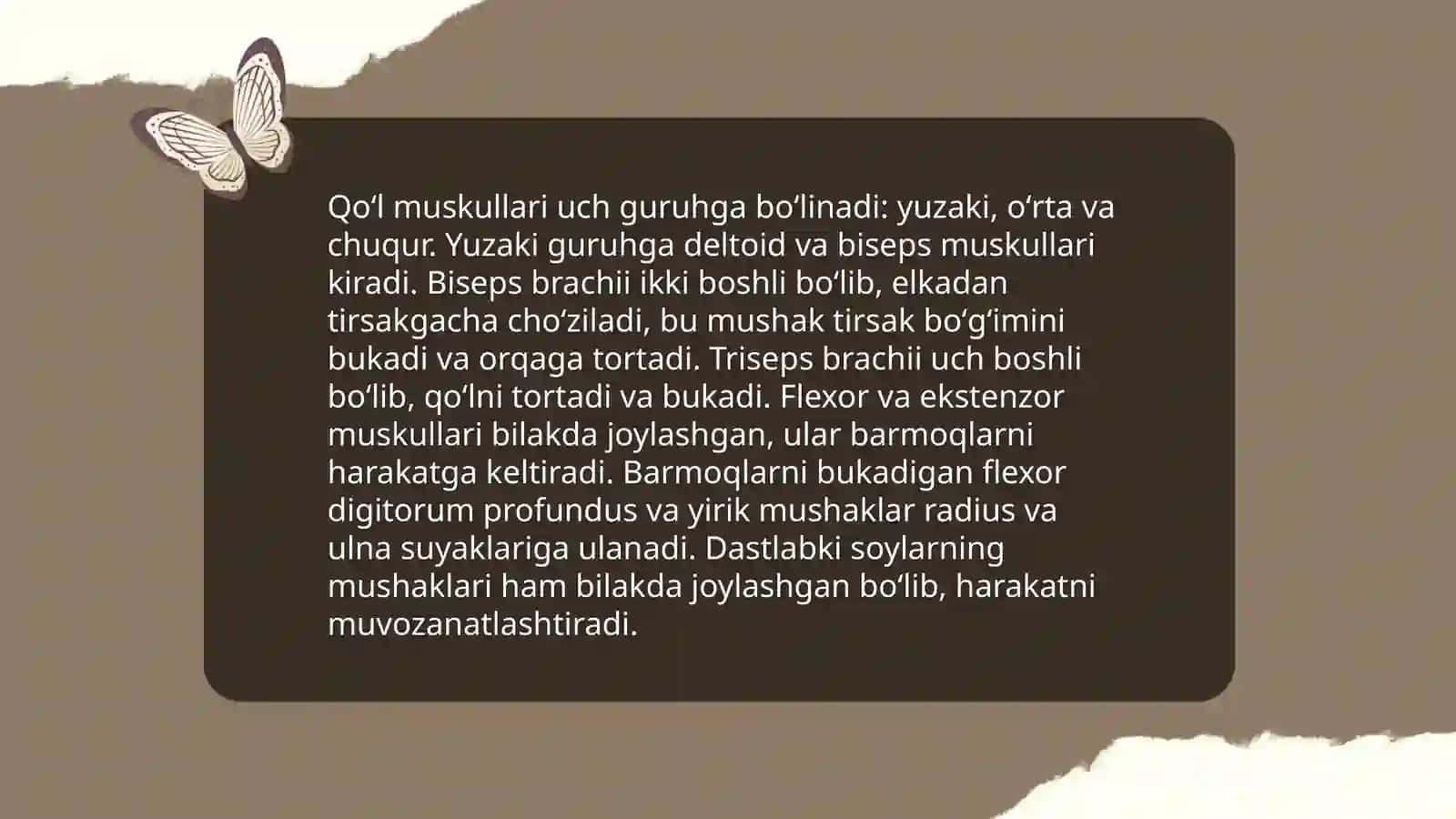 Qoʻl va oyoq muskullarining fassiyalari 4
